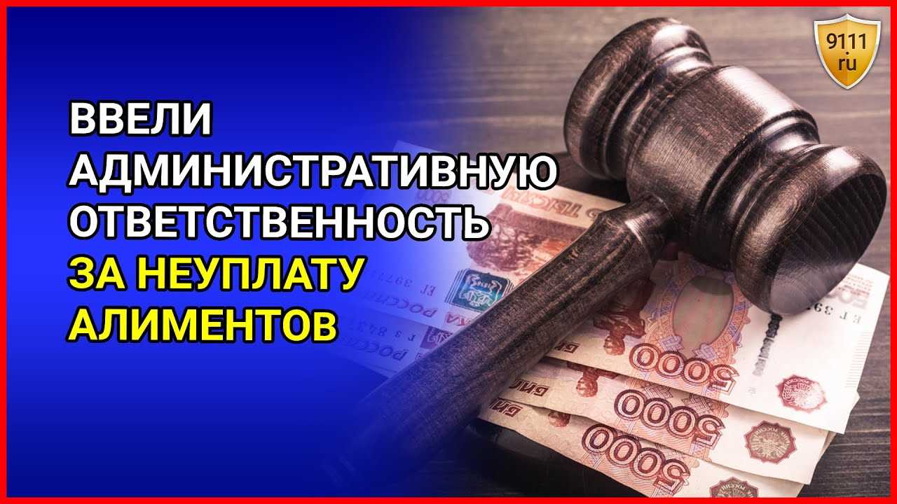 Гражданское или административное судопроизводство по алиментам?