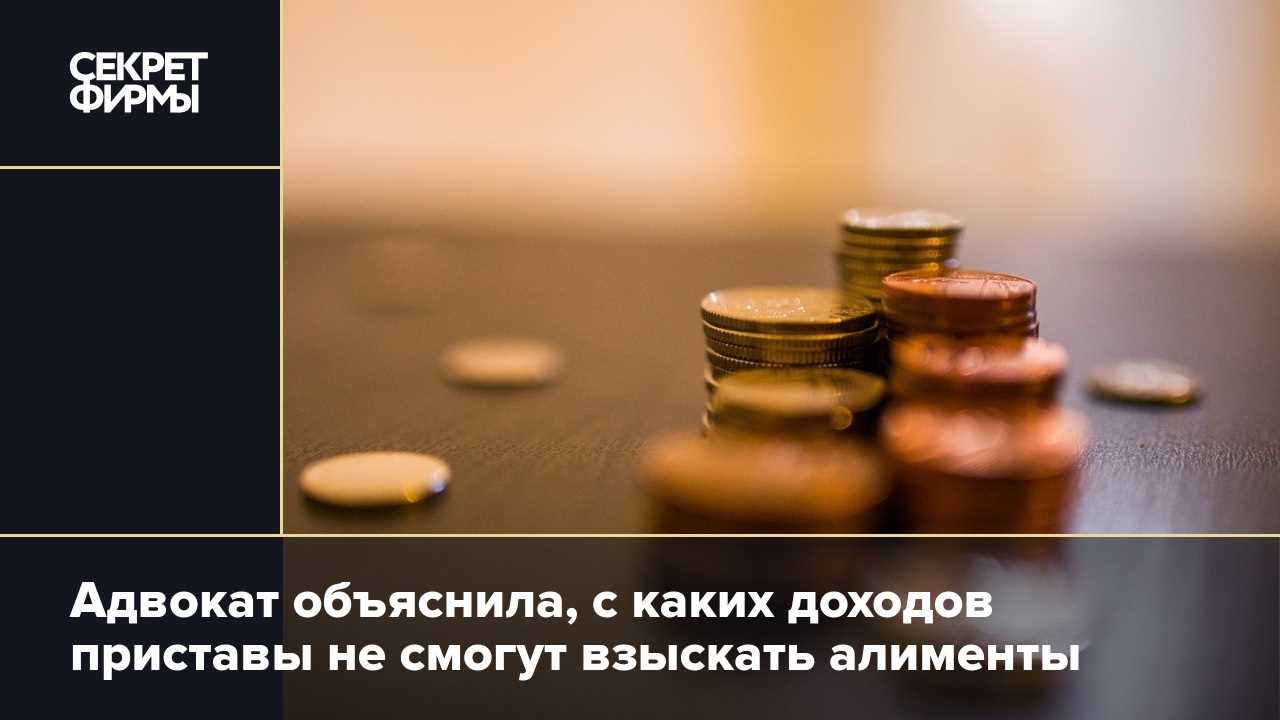 Каких доходов удерживаются алименты на ребенка?