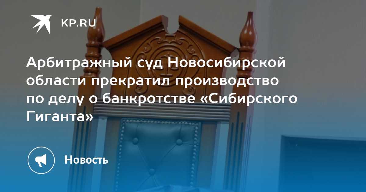 6. Обязанность арбитражного суда приостановить производство по делу в случае возникновения президентских кандидатов