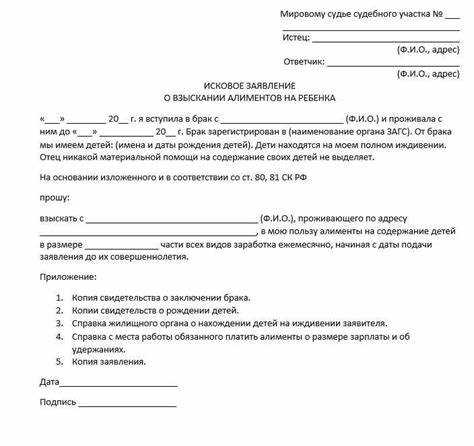 Госпошлина при взыскании алиментов на ребенка в суде
