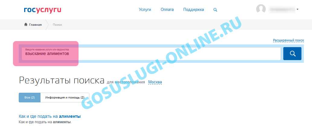 Оформление алиментов через госуслуги: можно ли подать заявление на алименты через госуслуги?