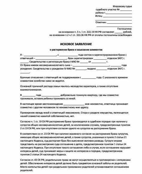 Как правильно составить и подать в суд исковое заявление о взыскании алиментов на ребенка без брака (образец)