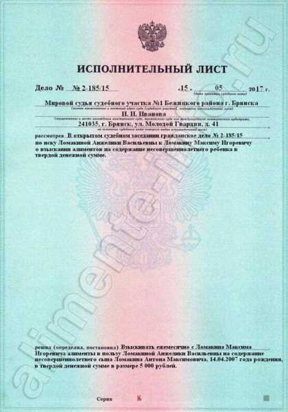 Процедура подачи заявления о выдаче исполнительного листа по алиментам