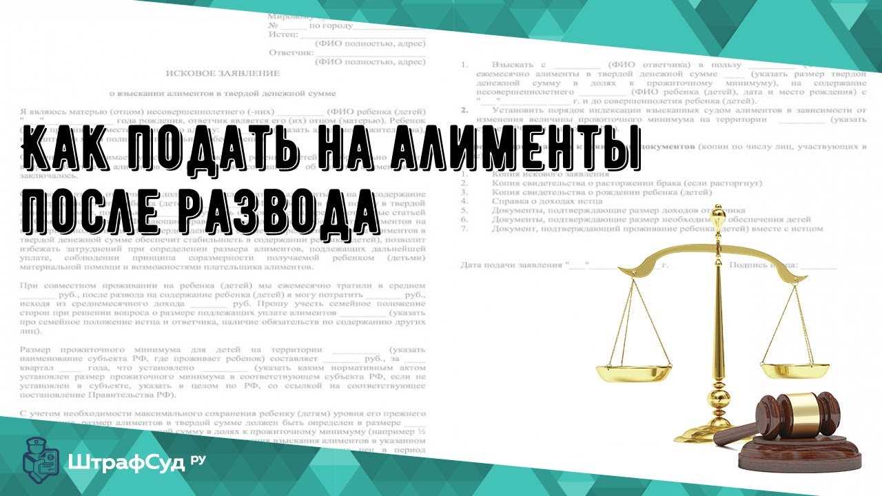 Используйте информацию о косвенных признаках подачи на алименты