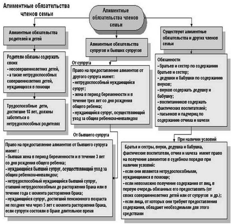 Какие виды алиментов существуют?