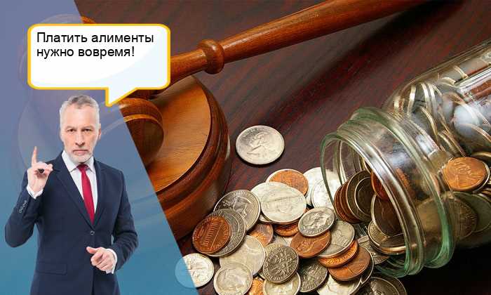 Процесс лишения родительских прав отца за неуплату алиментов