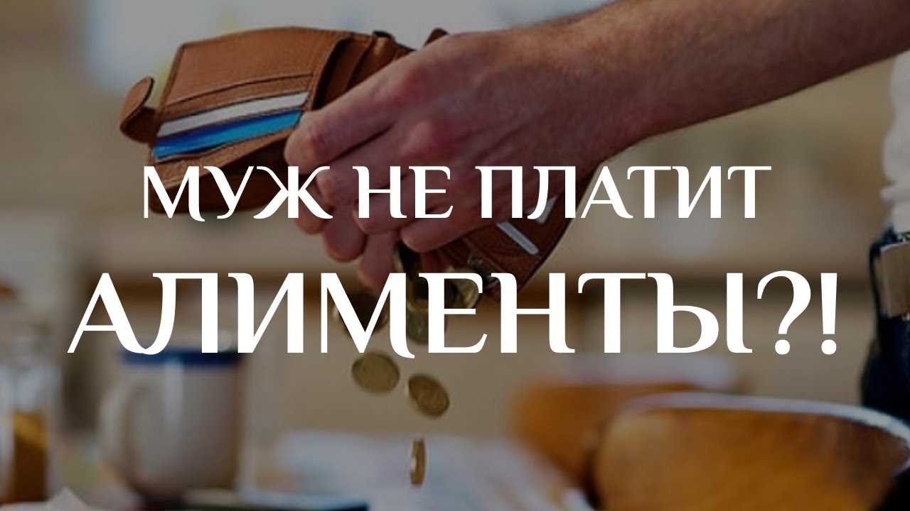 Как получить помощь государства при неуплате алиментов