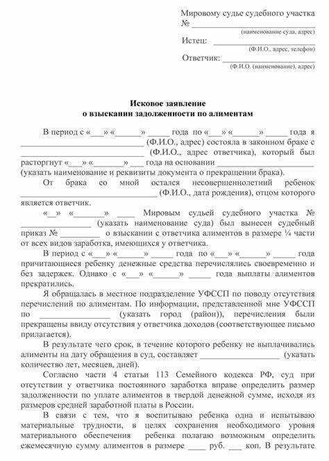 Заявление на взыскание алиментов после развода в мировой суд