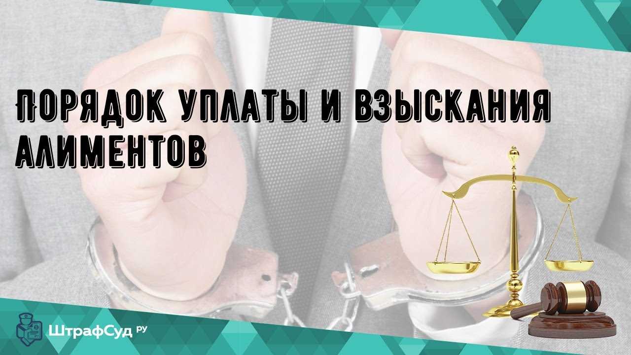 Статья 113 Семейного кодекса РФ: определение задолженности по алиментам