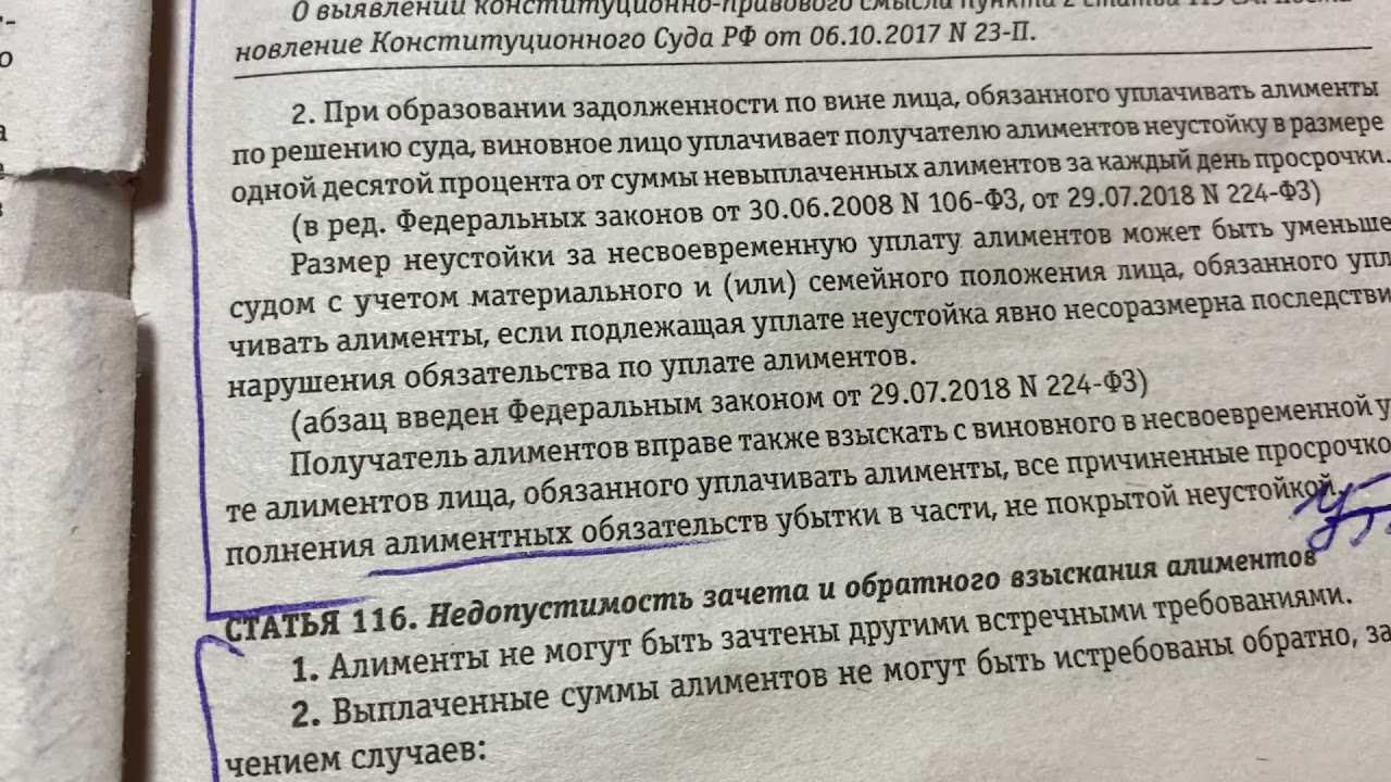 2. Доход и имущество уплачивающего алименты