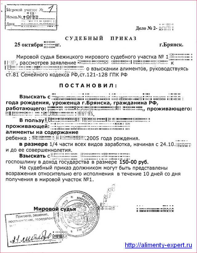 Процесс вынесения судебного приказа о взыскании алиментов