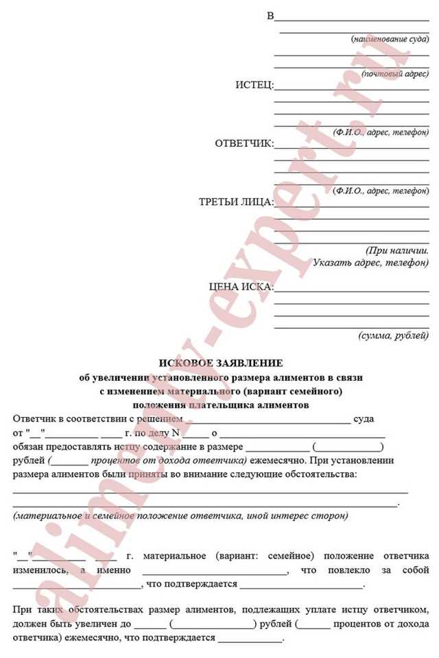 Другие расходы при взыскании алиментов в суде