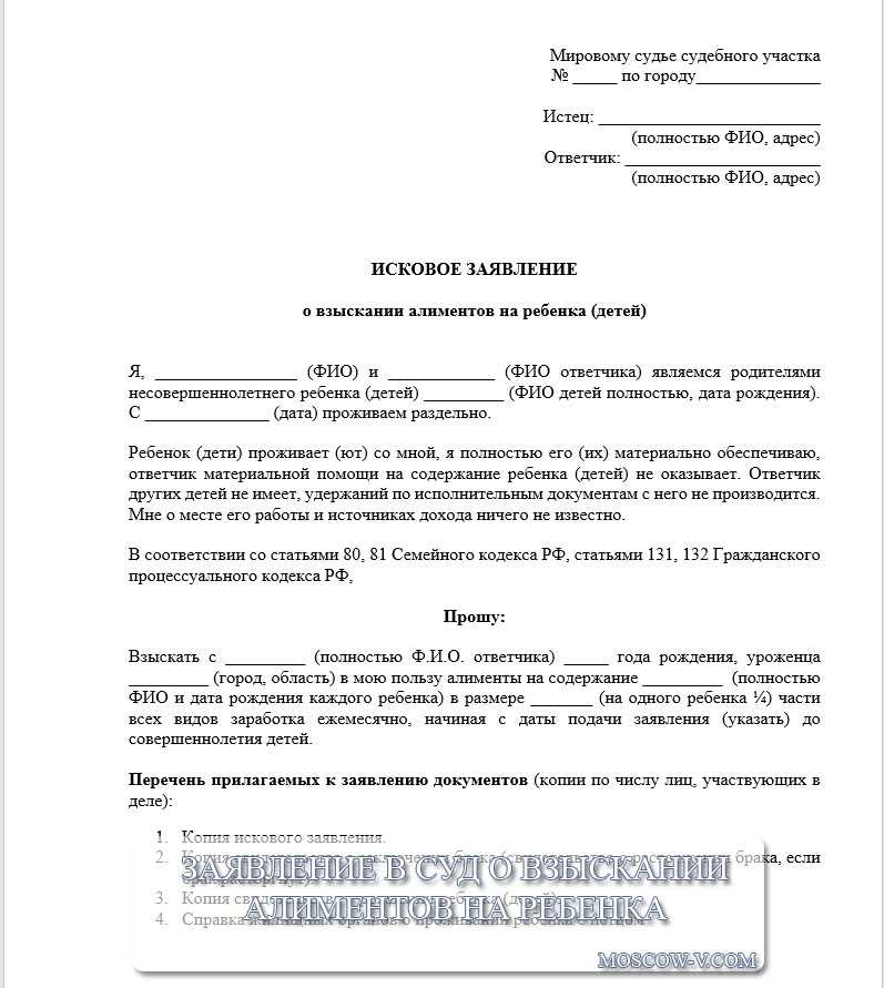 Получение решения суда по заявлению об установлении отцовства и взыскании алиментов