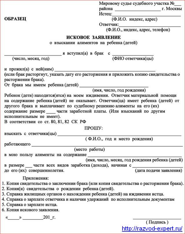 Бланк заявления о выдаче судебного приказа о взыскании алиментов: основные моменты