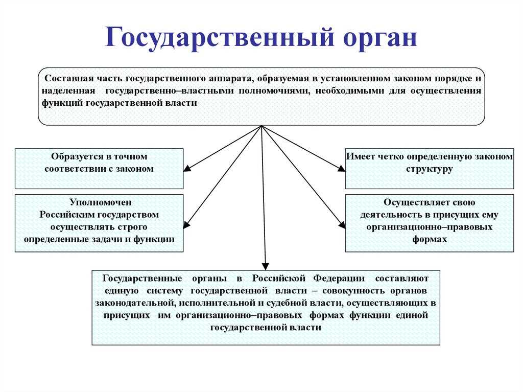 Местные органы государственной власти: роль в жизни граждан