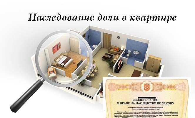  Правила дележки квартиры после смерти одного из супругов 