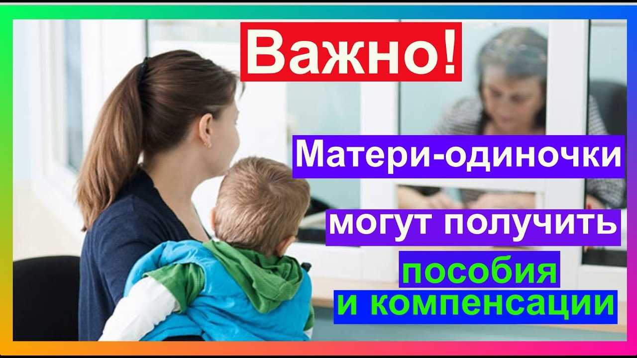 Как оформить заявление на получение пособия матери одиночки в 2020 году