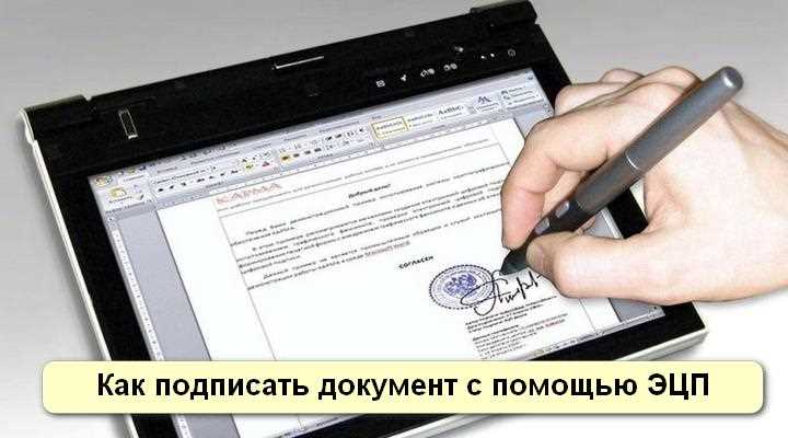 Процедура получения электронной подписи для юридического лица