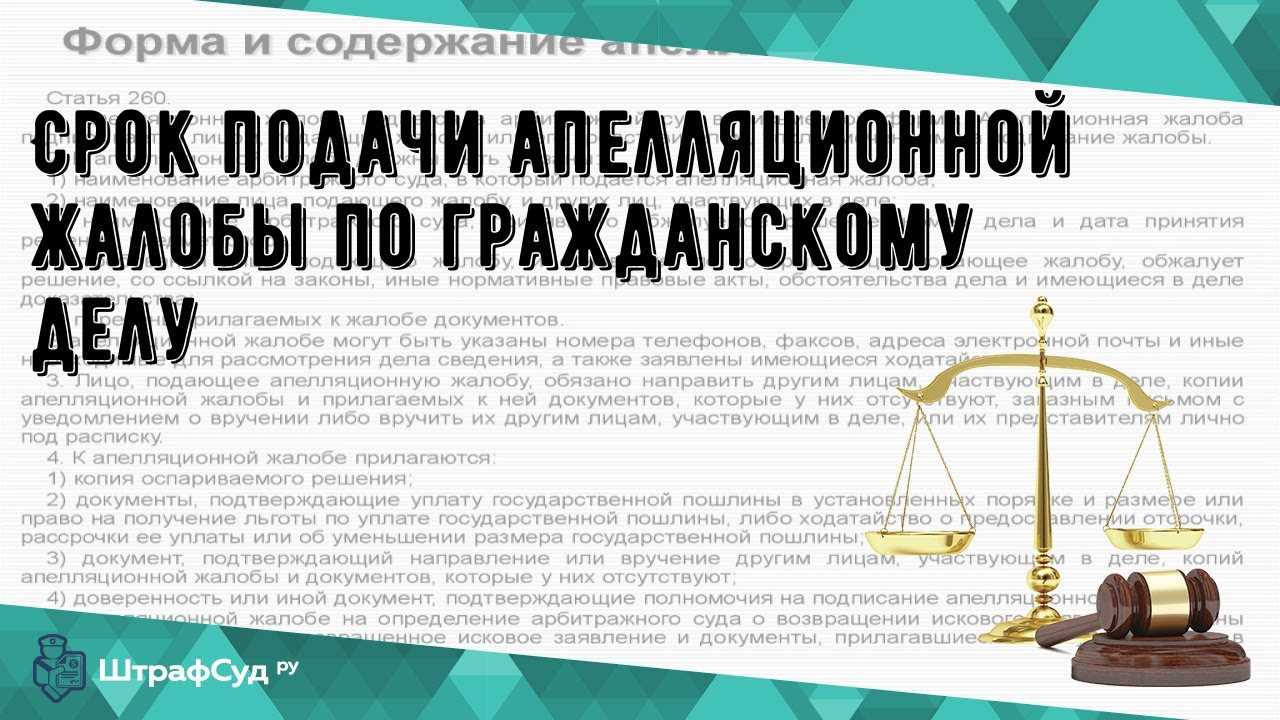 Апелляционная жалоба на решение суда: сроки и порядок подачи