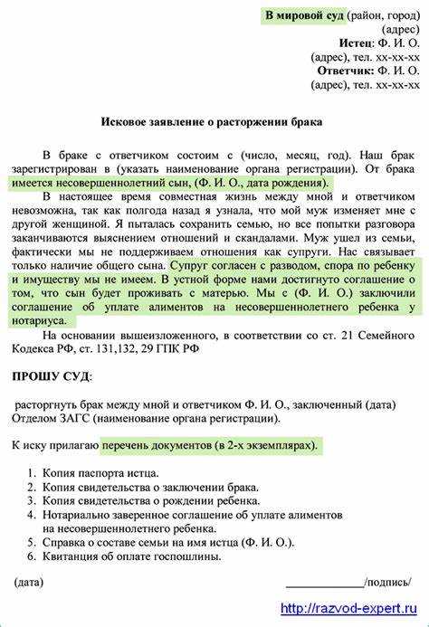 Пример заявления на развод через суд: основные положения