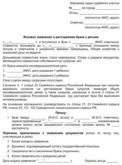 Пример заявления на развод через мировой суд: особенности и порядок подачи